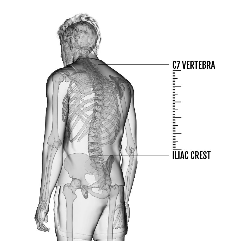 ULA Torso Measurement Guide