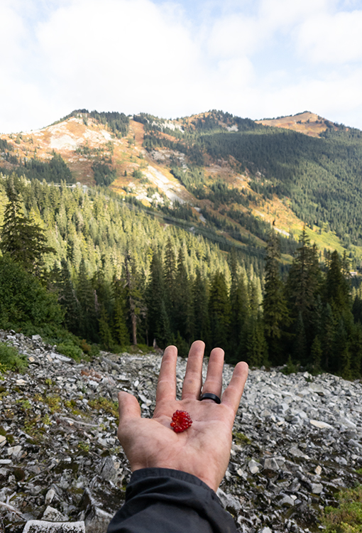 A BearVault being opened by a hiker. The BearVault also keeps your snacks from getting crushed.