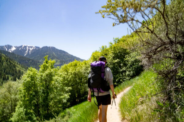 A hiker hikes down a trail in the mountains wearing a purple ULA pack.