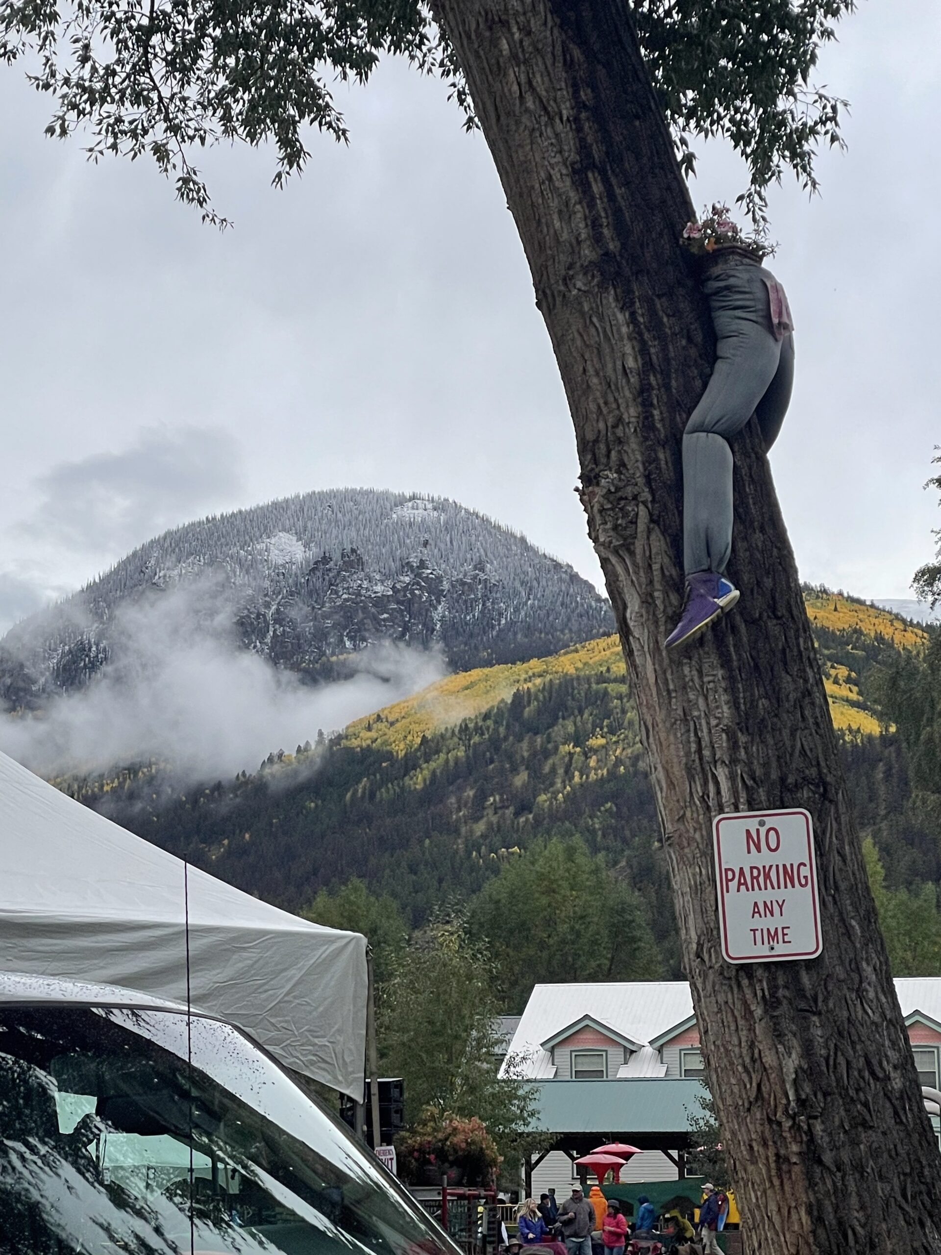 Photo by baja A pair of pants are attached to a tree