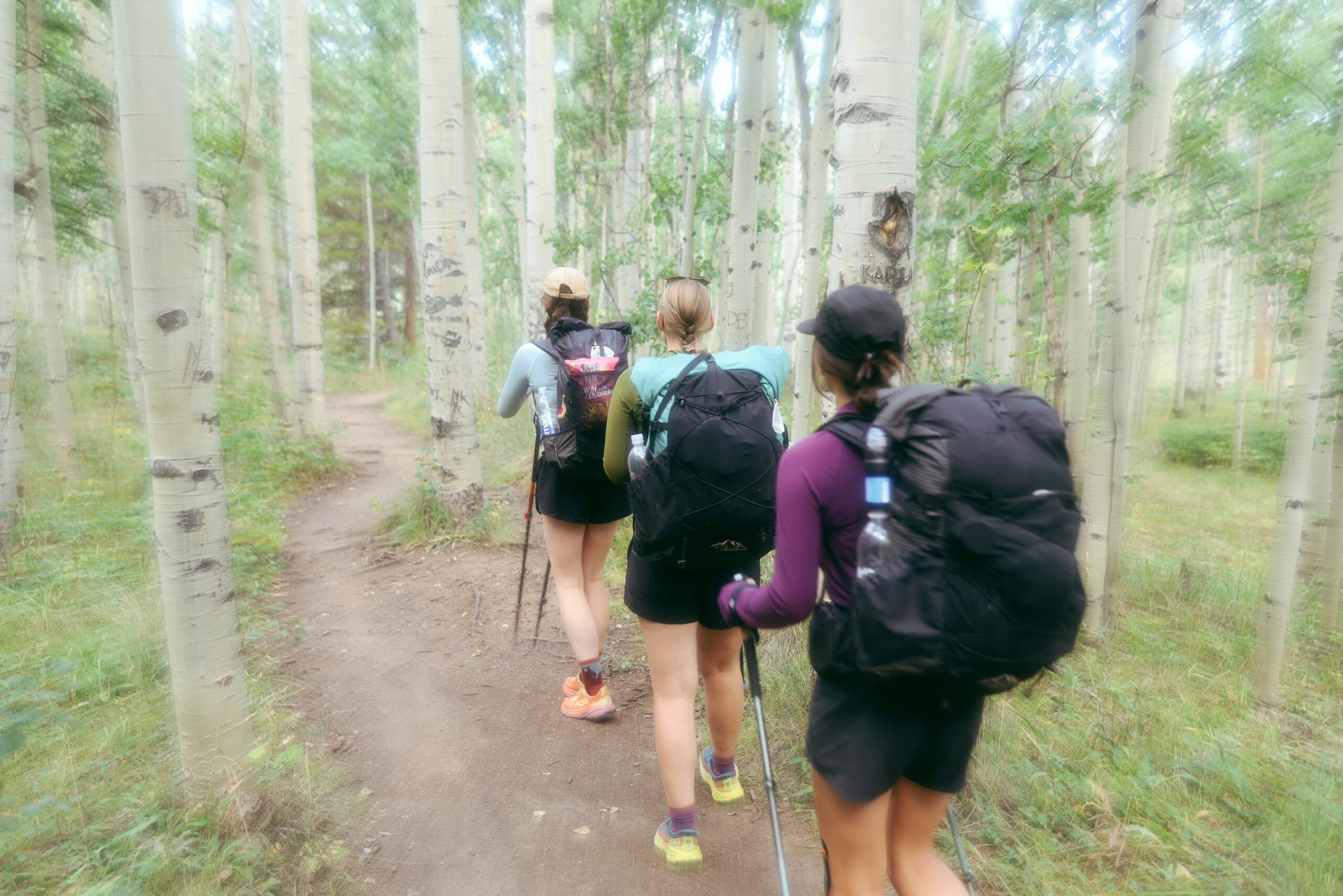 Baja and crew Three women hike along Aspen trees