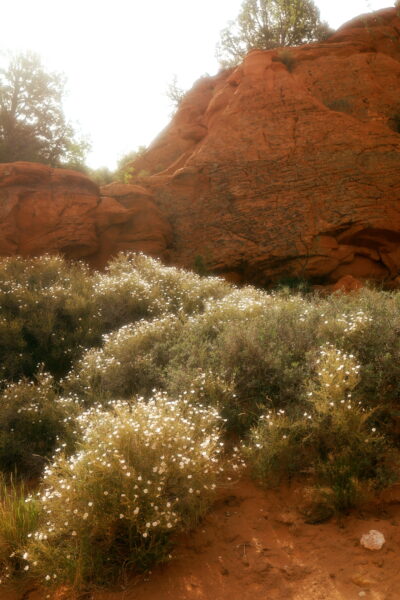 A landscape feature on the Arizona Trail