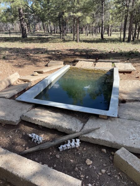 A water source on the Arizona Trail