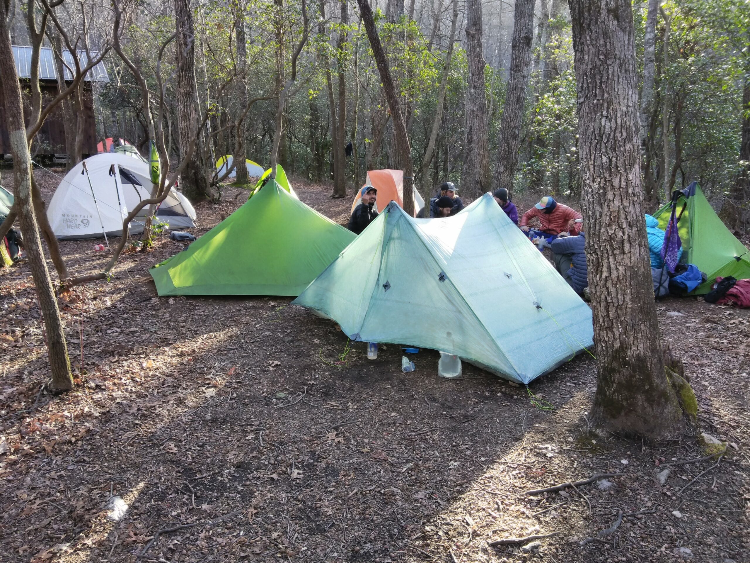 Shelter cove A group of hikers with tents near a shelter